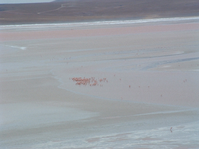 Laguna Colorada.JPG
